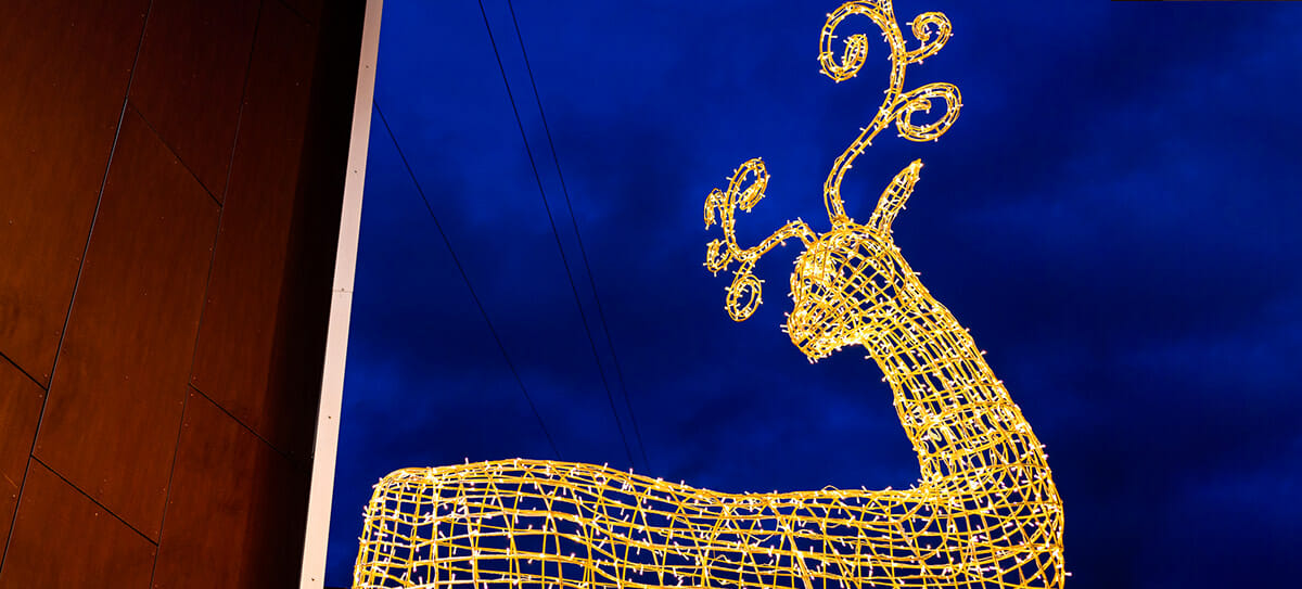 Masterpiece Rennes de Noël lumineux
