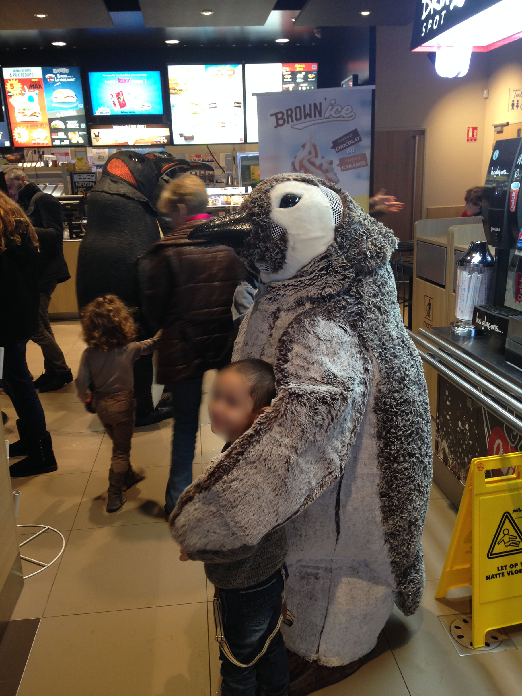 Animation Noël : nos manchots