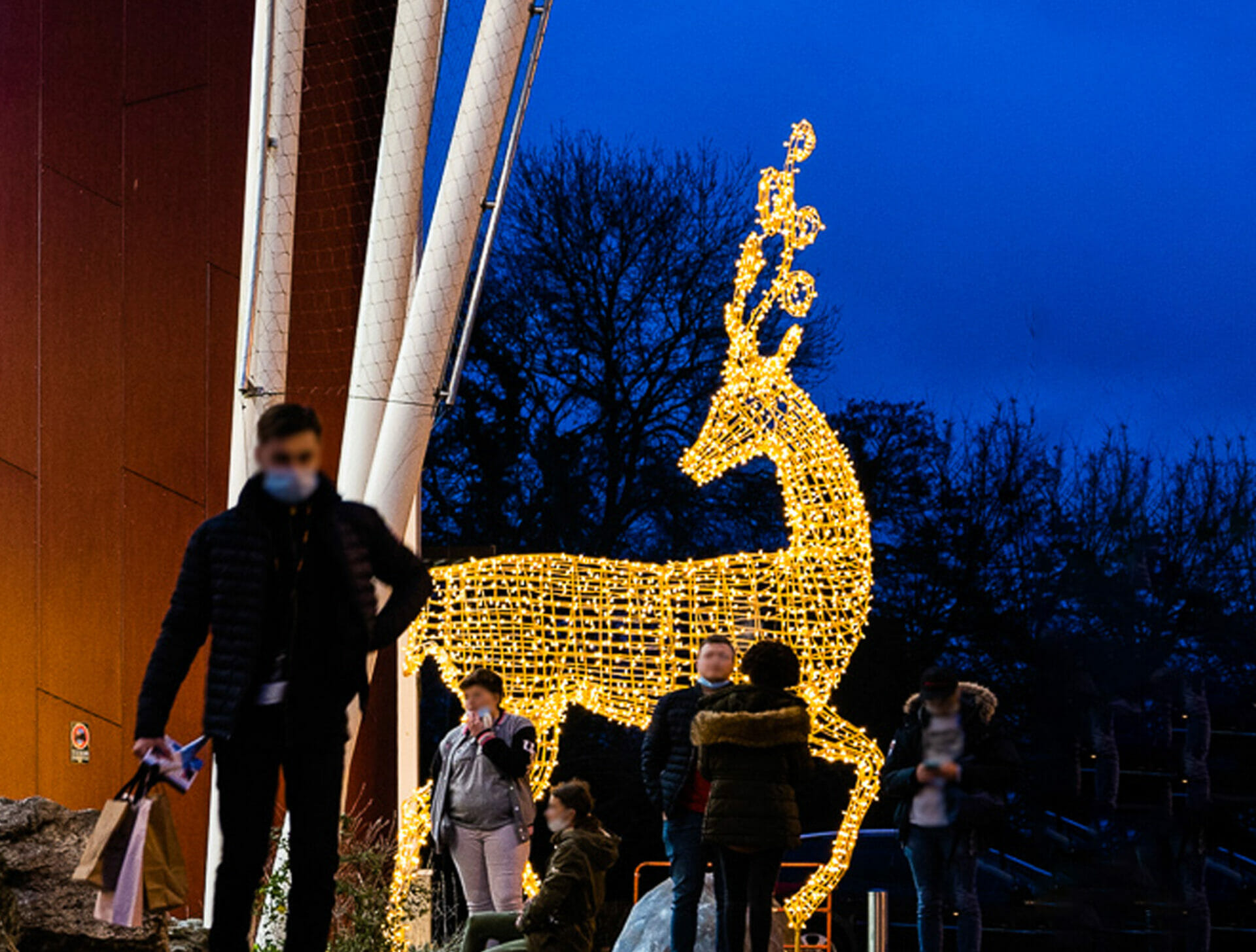 Renne Géant Noël