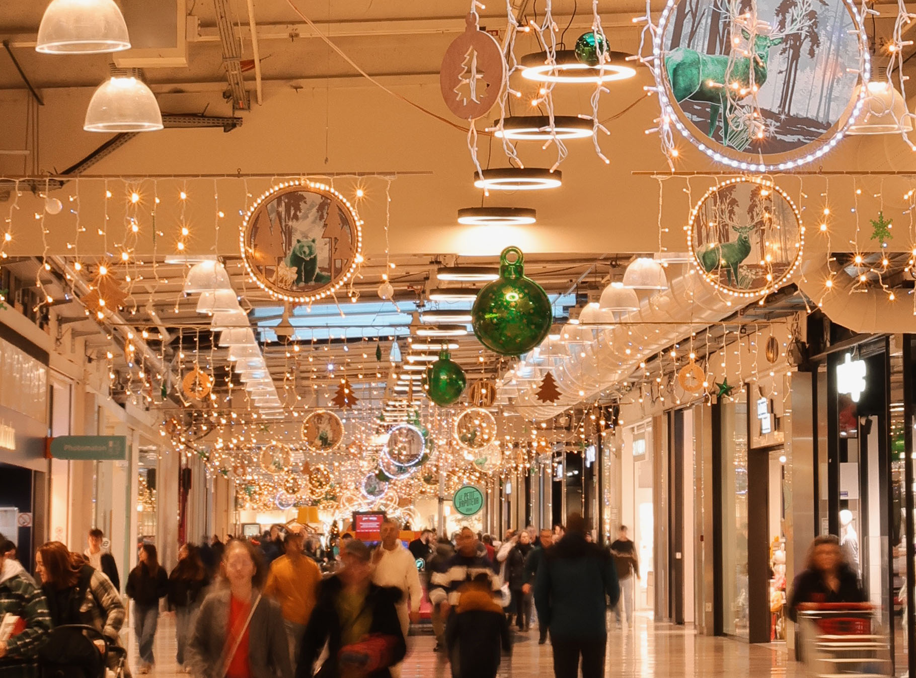 Processed with VSCO with al3 preset